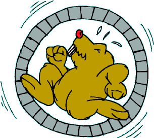The Hamster Wheel of You Are Never Good Enough. Had Enough?