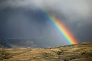 rainbow the symbol of the next 1000 years