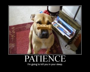 patience activator... a little humor