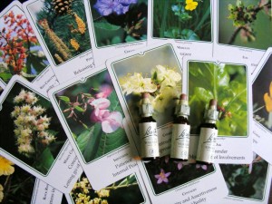 bach flower remedies to raise your vibration
