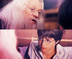 harry and dumbledore... the only home harry potter ever knew