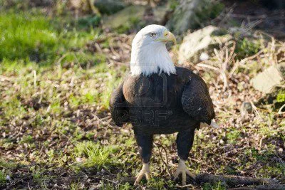 A World Asleep And A World Awakened… Can you help?