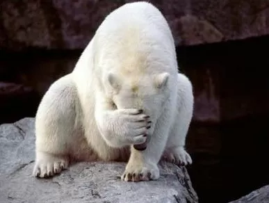 Tools For Your Soul Correction you can use