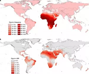 negativity distribution in the world