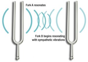 entrainment tuning forks