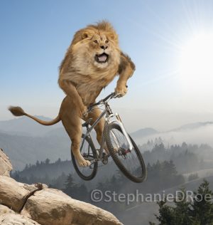 Lion-riding-mountain-bike