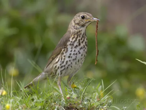 Case study: Attachment removal. What can you learn from it?