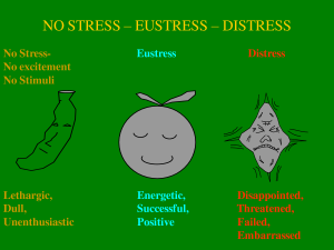stress-eustress-distress