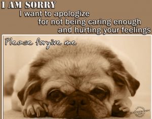 I-Am-Sorry-I-Want-To-Apologize-For-Not-Being-Caring-Enough-And-Hurting-Your-Feelings-Pls-Forgive-Me-Quote-For-Saying-Sorry