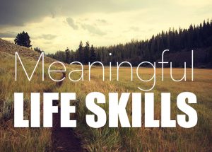 Meaningful-Life-Skills-Banner