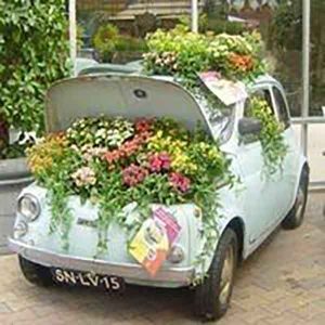 car-planter