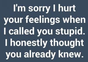 im-sorry-i-hurt-your-feelings-when-i-called-you-stupid-9357-640x640
