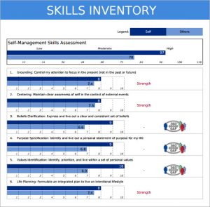 personal-skills-inventory-template