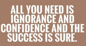 all-you-need-is-ignorance-and-confidence-and-the-success-is-sure