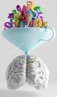 brain-funnel