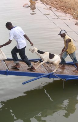 niger-river-boat-trip-an-unwilling-passenger1