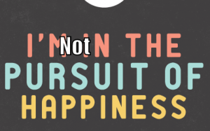 I am not in the pursuit of happiness