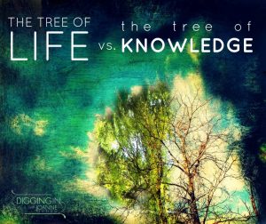 tree-of-life-v-tree-of-knowledge