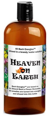 heaven on earth energy remedy