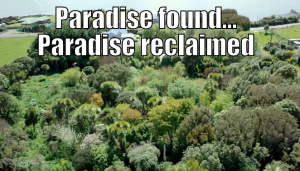 paradise lost and found