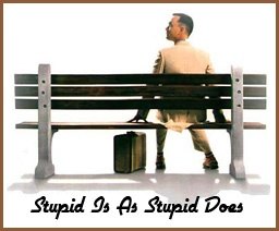 Stupid is as stupid does. How this helped raise my vibration