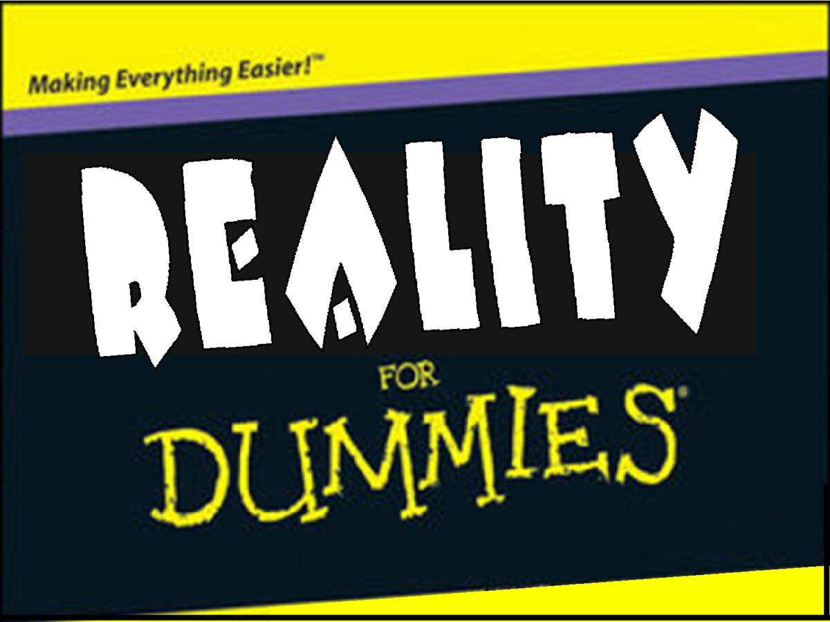 Reality for dummies or what can you find there?