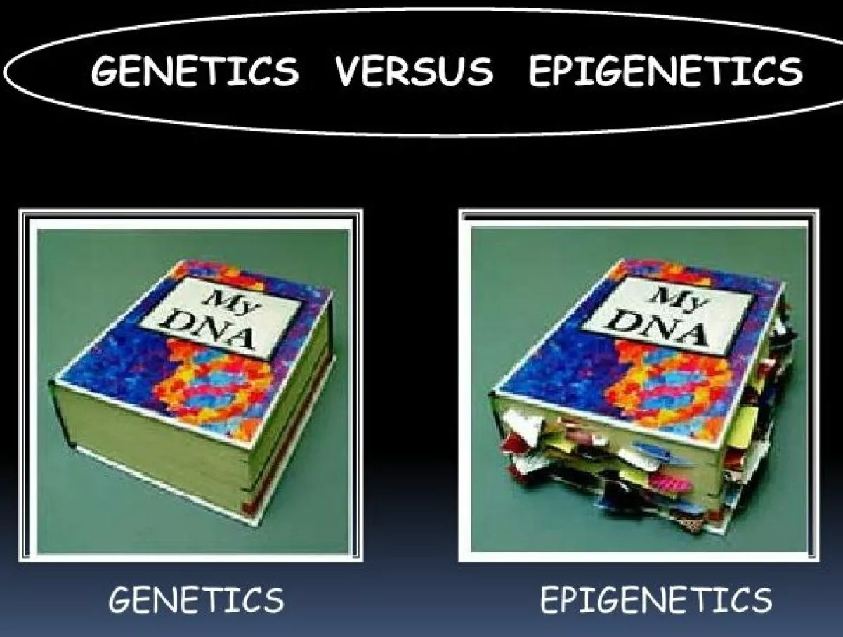 Growth, change is an epigenetic shift. First plug the leaks