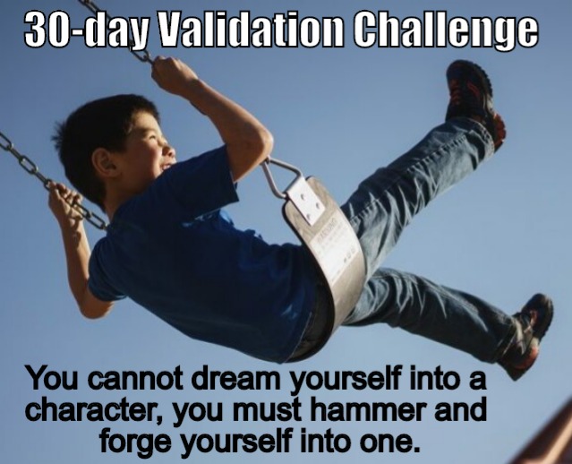 Validation Challenge… Why is it worth doing it?