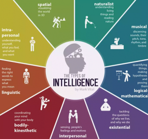 intelligence has many components