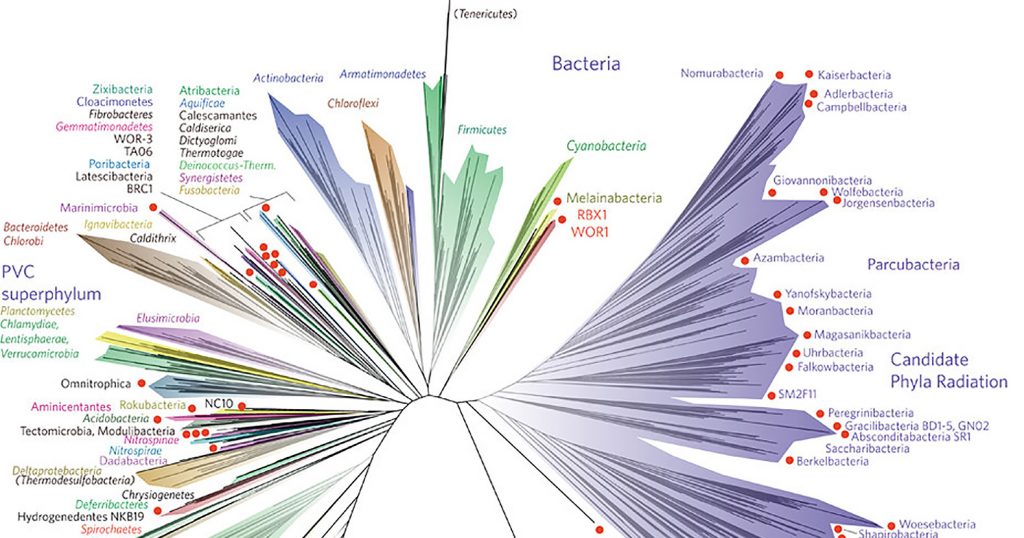 capacities are either on or off