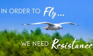 in order to fly you need resistance