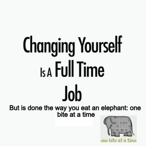 changing yourself is a full time job