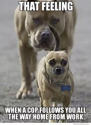 the doom illustrated