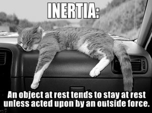 inertia renders you not moving aka stuck