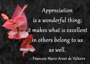 Appreciation is a wonderful thing it makes what is excellent in others belong to us as well.