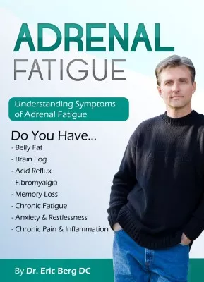 dr berg adrenal type
