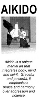 aikido-principle