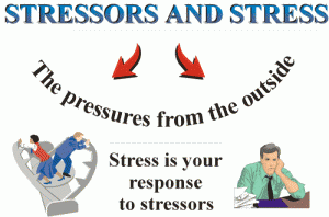 stress vs stressor