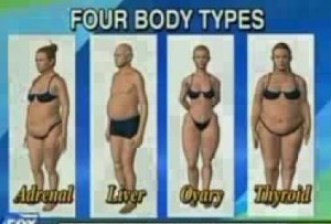 dr eric berg body types