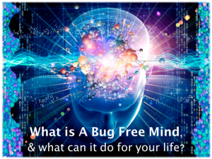 bug-free-mind