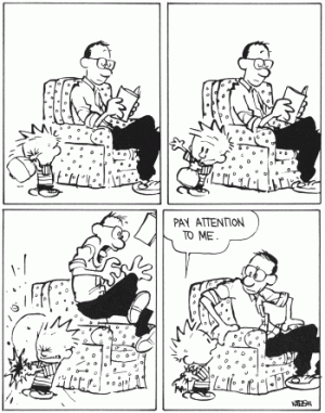 Calvin_Attention_2x2_4426