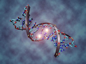 DNA activation