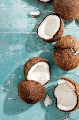 coconuts2