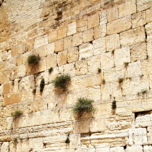 Close up of Western wall. Jerusalem. Israel.