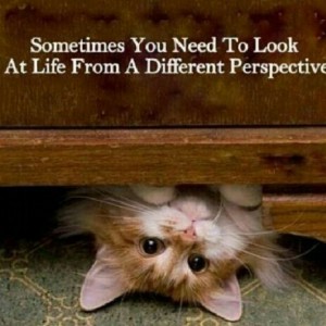 different-perspective
