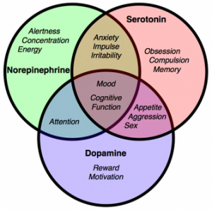 dopamine, serotonin, Acetylcholine