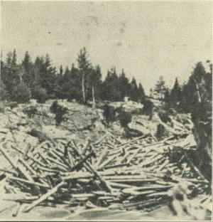 driftwood logjam