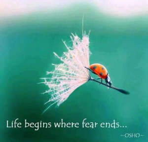 life begins where fear ends. love begins where you end
