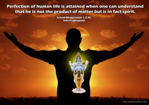 Quotes-by-Srila-Prabhupada-on-Perfection-of-Human-Life