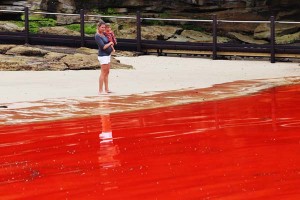 red tide: god punishing or natural